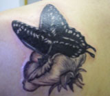 tattoo_22